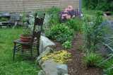 flower bed